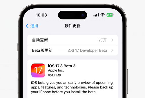 iOS 17.3 Beta 3